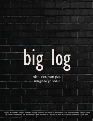 Big Log