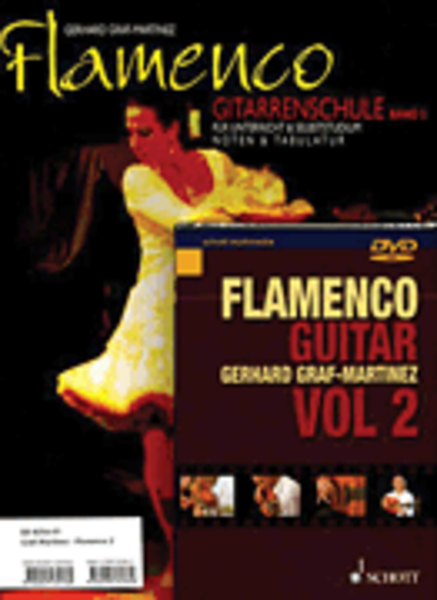 Flamenco Band 2