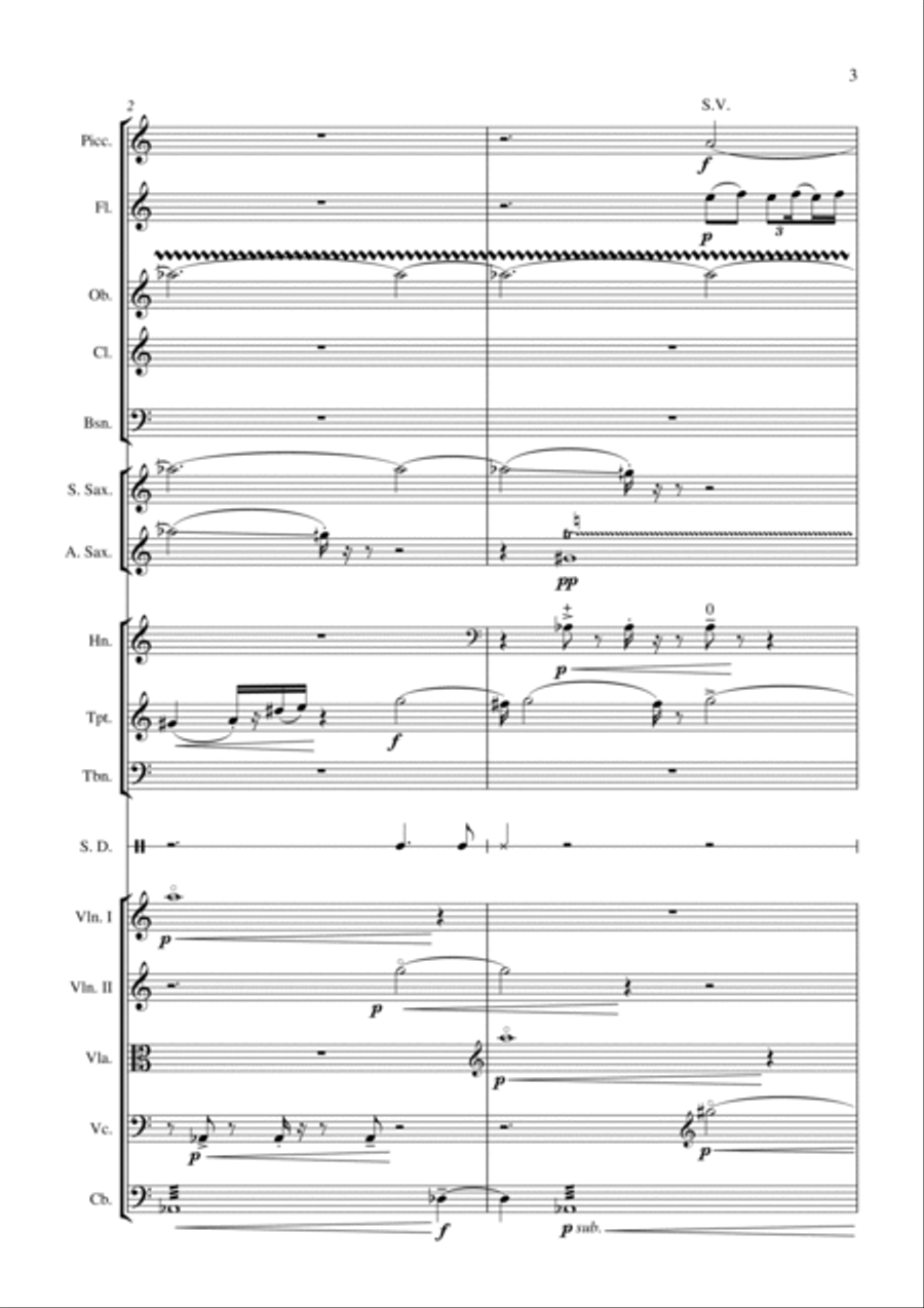 The Phase Bug for chamber orchestra Chamber Orchestra scores gallery preview page 3