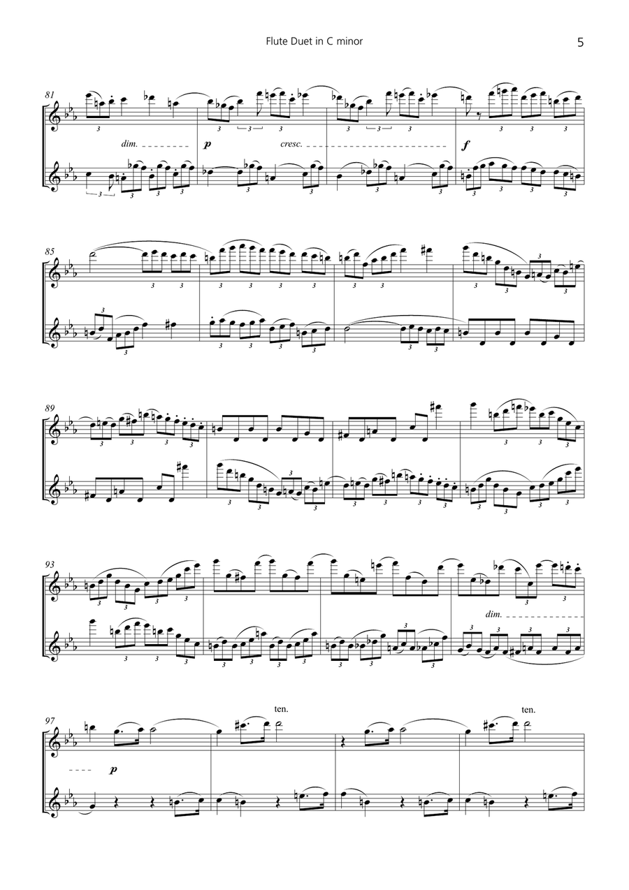 Flute Duet in C minor Flute Duet scores gallery preview page 5