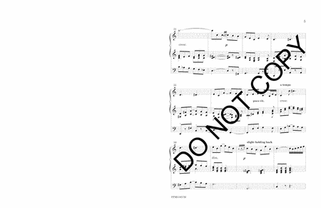 Andante, Concerto for Violin and Orchestra