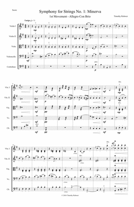 Symphony for Strings No. 1 "Minvera" 1st Movement - Allegro Con Brio (Score)