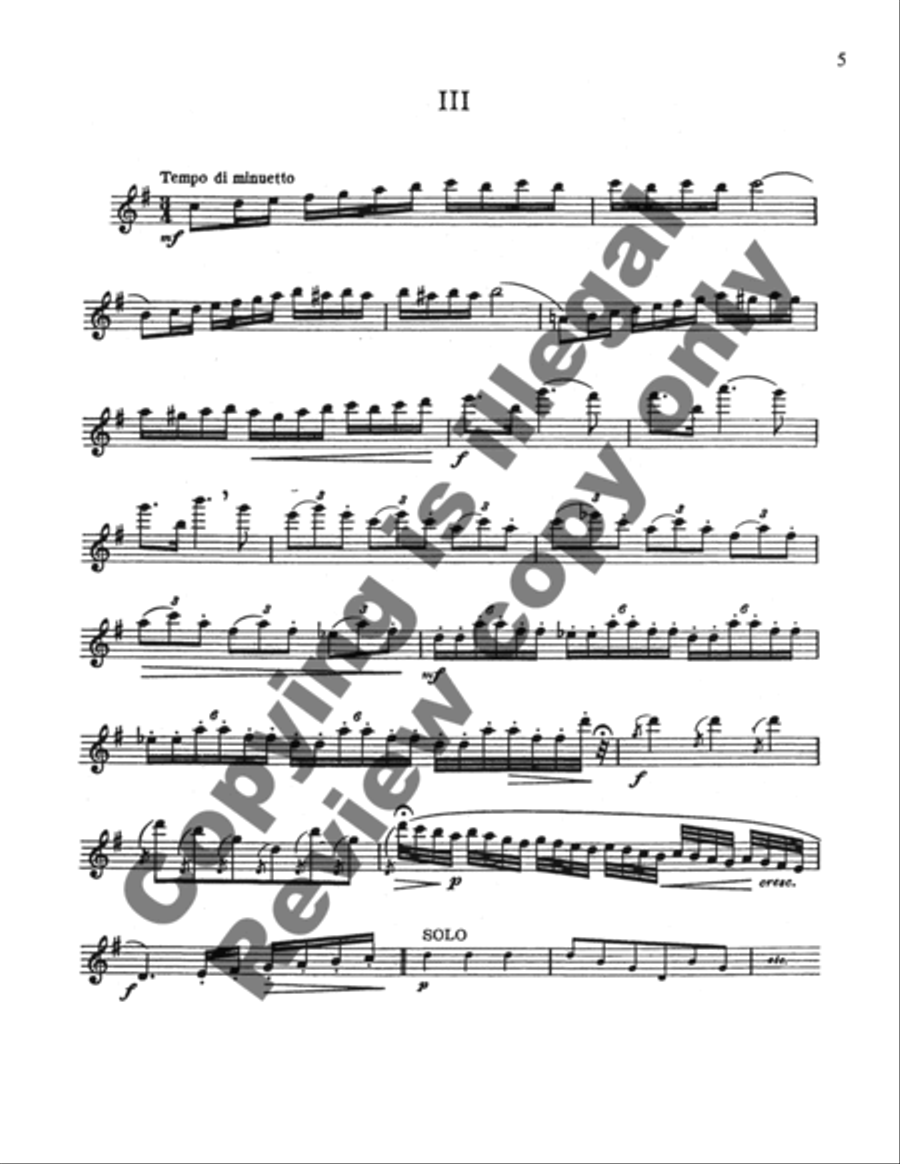 Cadenza for Mozart Flute Concerto, G Major, K.313 Flute Solo scores gallery preview page 6