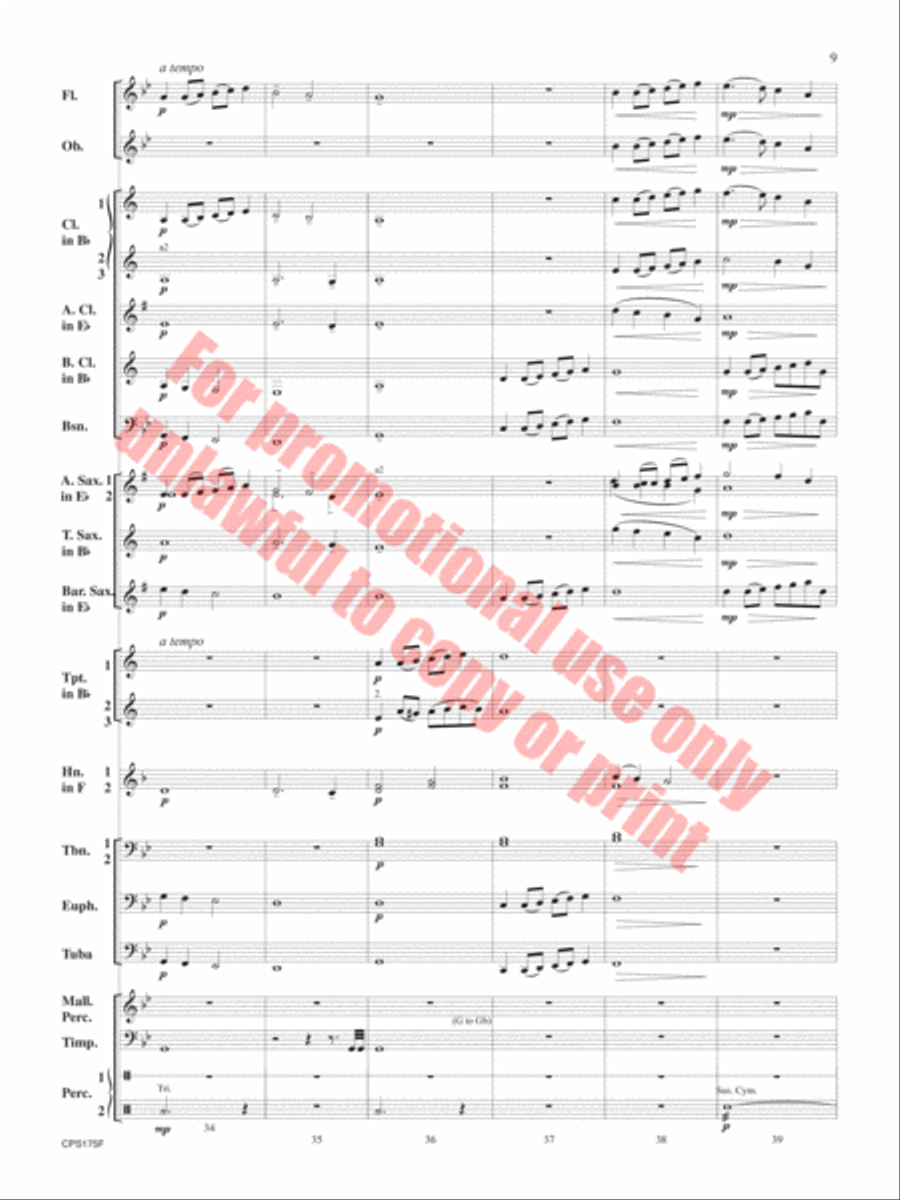 Aberystwyth Variants Aberystwyth Variants Concert Band scores gallery preview page 10