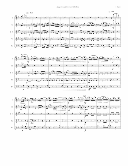 Allegro Vivace - Concerto in G for Flute - set for woodwind quintet image number null