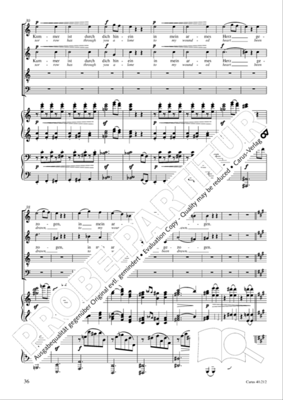 Neue Liebeslieder-Walzer, Op. 65 Choir scores gallery preview page 37