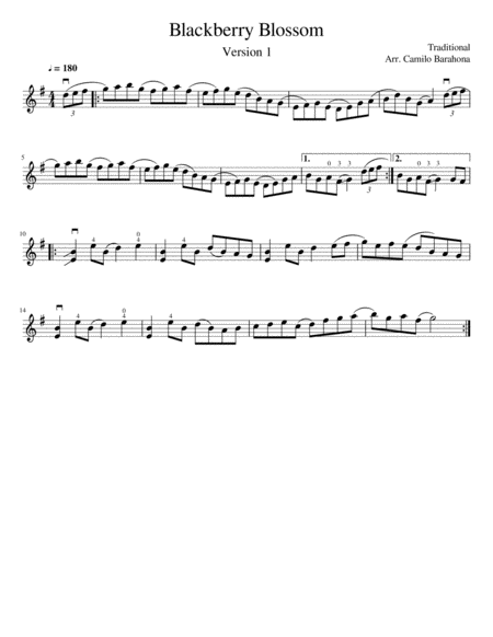 Blackberry Blossom : Fiddle & Guitar image number null