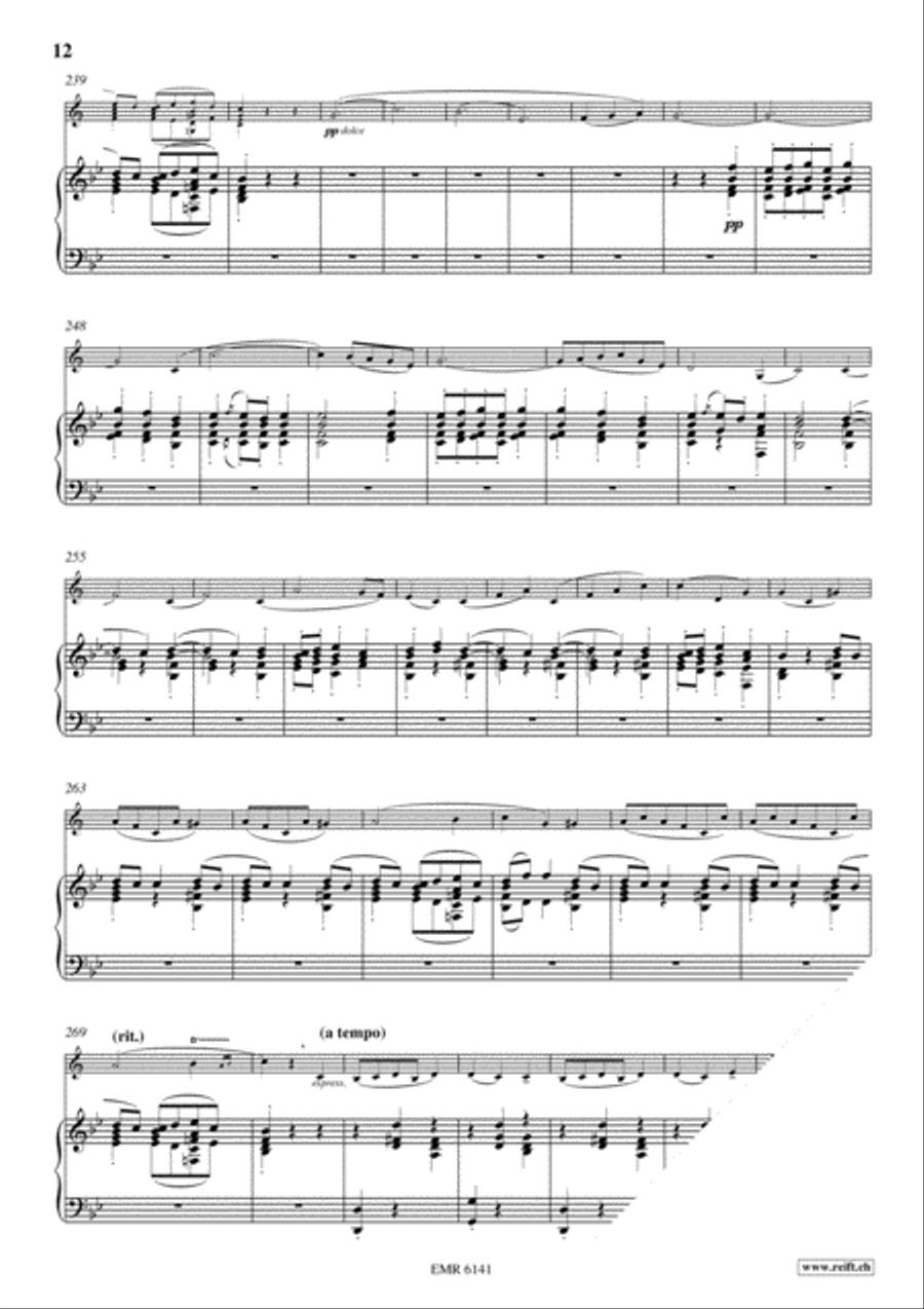 Concerto in A Minor Concerto in A Minor Flugelhorn scores gallery preview page 13