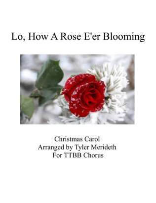 Book cover for Lo, How A Rose E'er Blooming