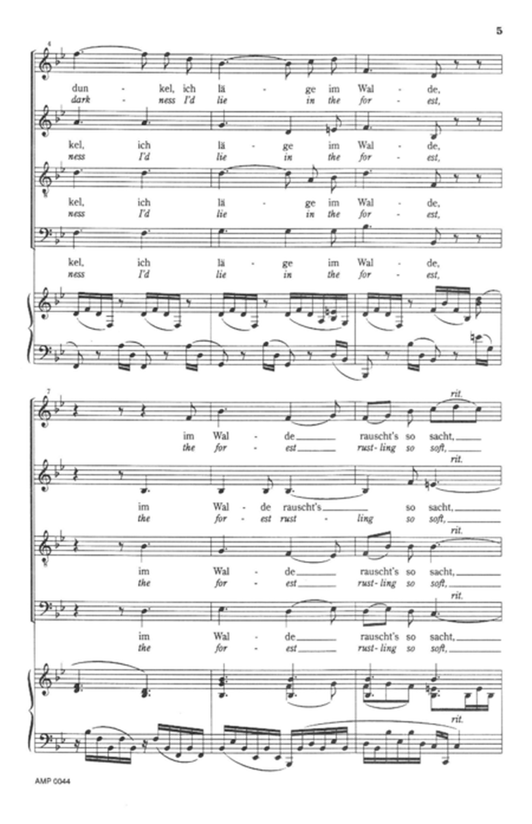 Die Einsame (from Vier Notturnos, Op. 22, no. 1) image number null