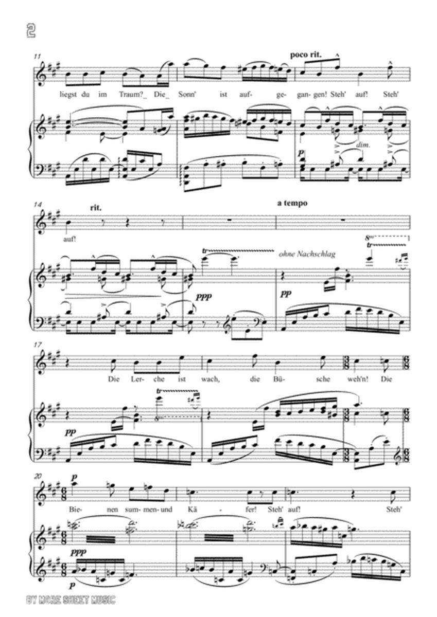 Mahler-Frühlingsmorgen in A Major,for Voice and Piano image number null