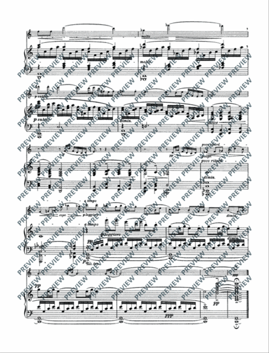 Variations on a theme by Edvard Grieg Violin Solo scores gallery preview page 21