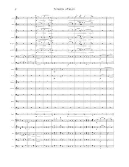 Symphony in c Minor - Score Only