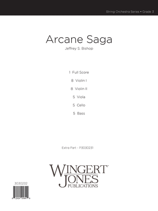 Book cover for Arcane Saga
