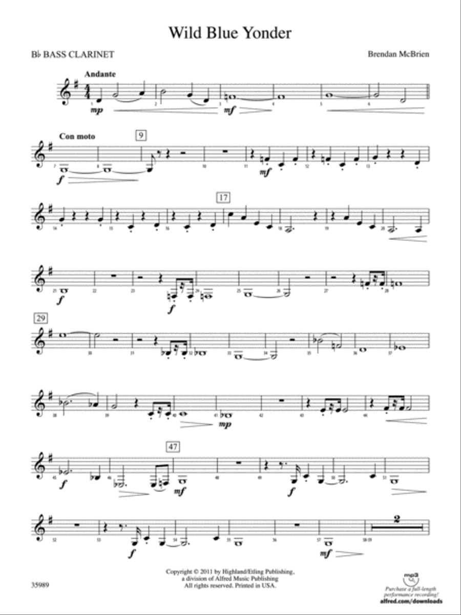 Wild Blue Yonder: B-flat Bass Clarinet Full Orchestra scores gallery preview page 1