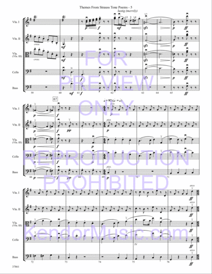 Themes From Strauss Tone Poems String Orchestra scores gallery preview page 7