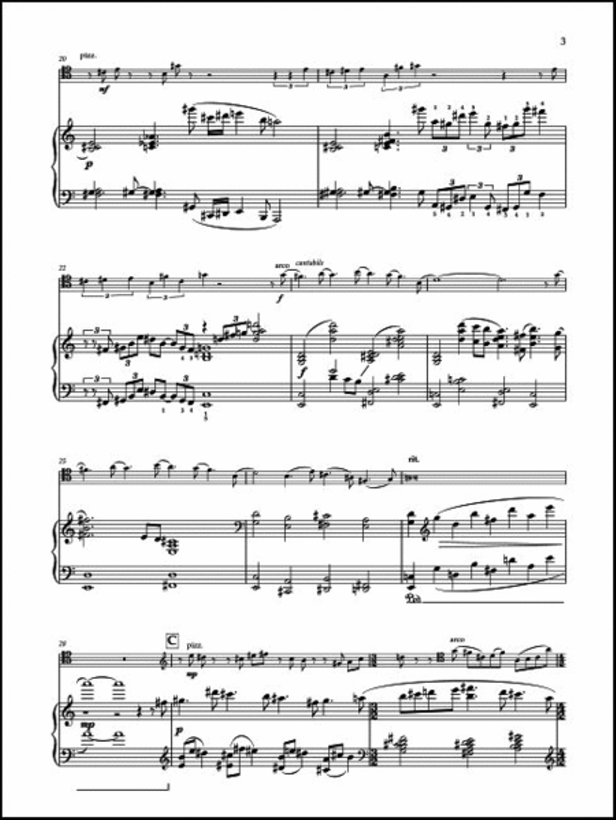 Sonata Piano Accompaniment scores gallery preview page 5