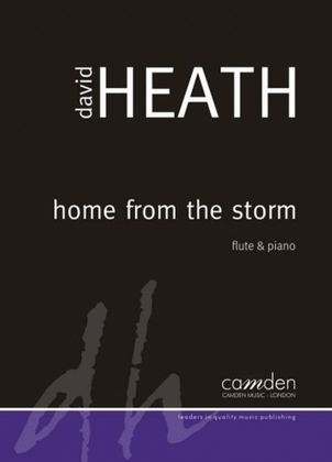 Book cover for Home From The Storm