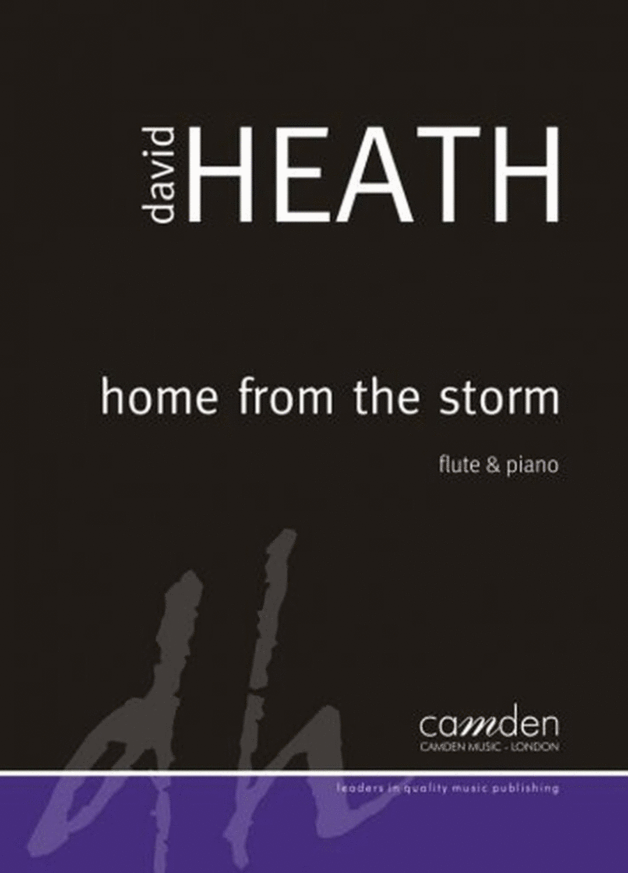 Home From The Storm Home From The Storm Flute Solo scores gallery preview page 1