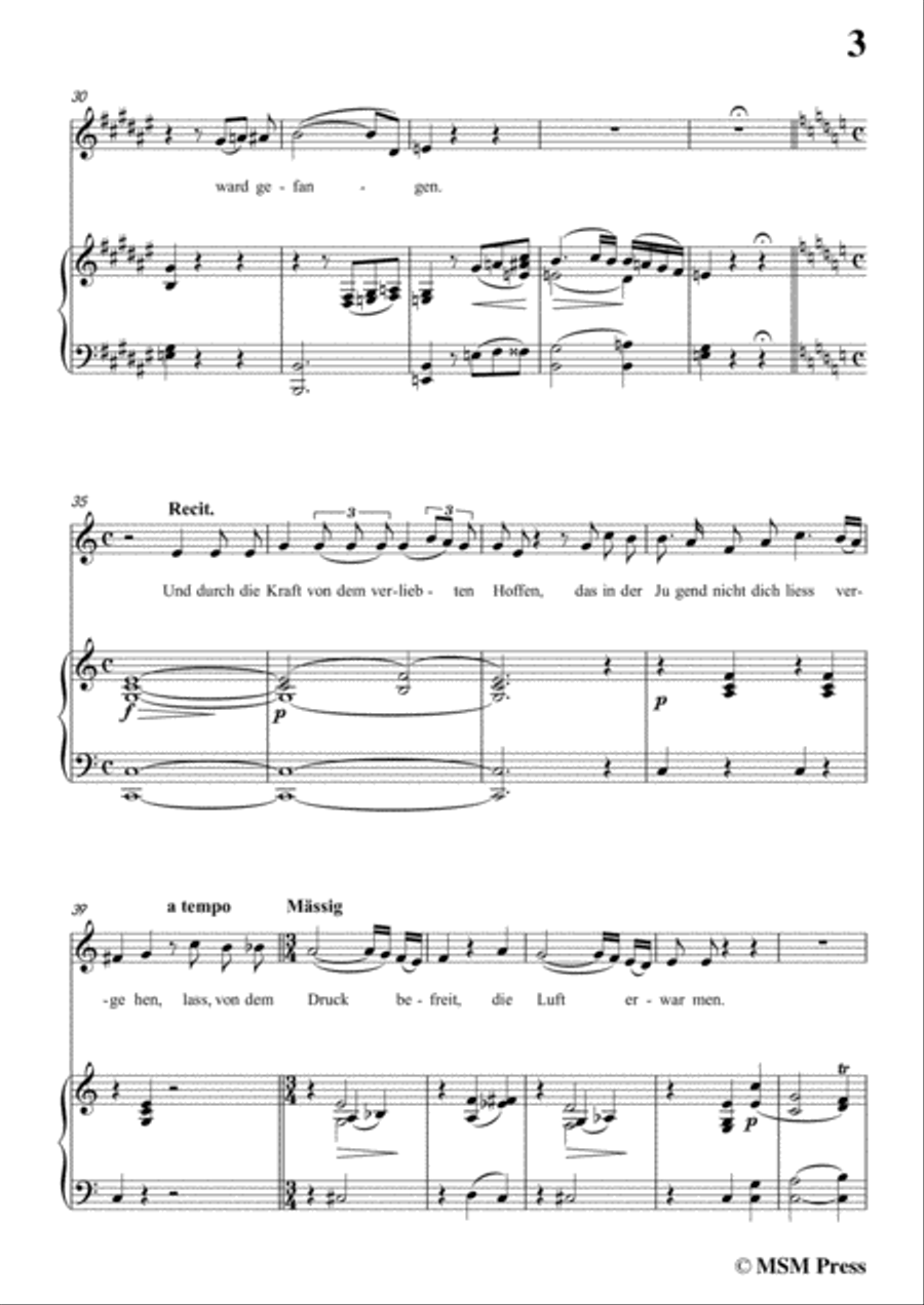 Schubert-Sonnet I in F sharp Major,for voice and piano Voice Solo scores gallery preview page 5