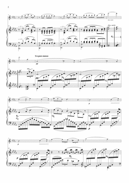 Clair de Lune for violin & harp