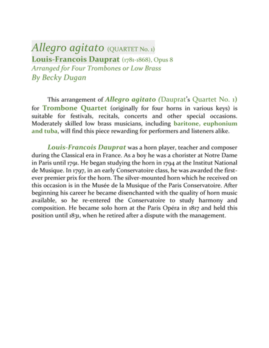 Allegro agitato (Quartet No. 1) image number null
