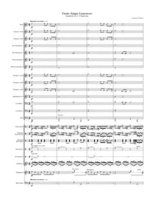 Finale: Adagio Lamentoso, from Symphony No. 6 by Tchaikovsky