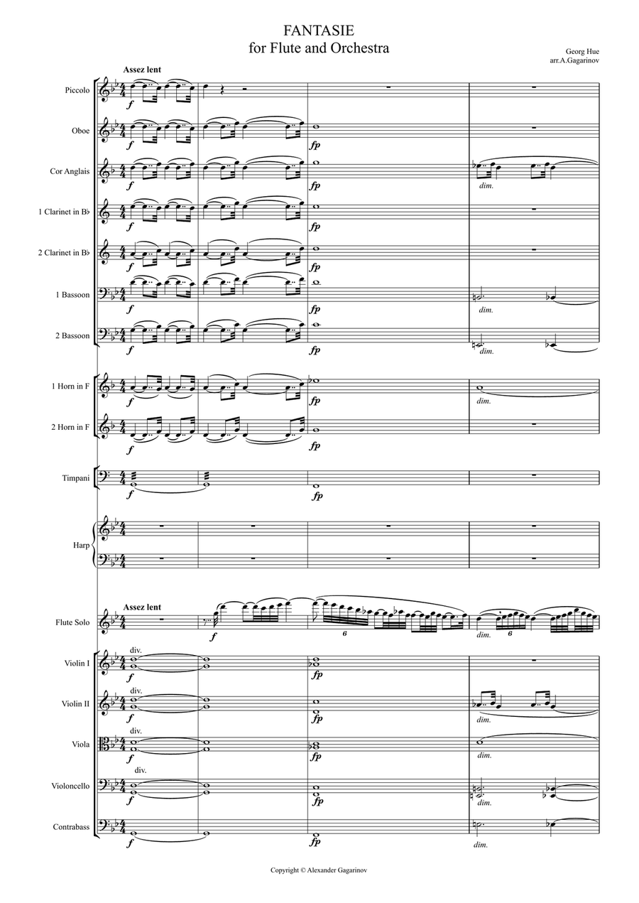 Fantasie for Flute & Symphony Orchestra (arr.) Full Score Chamber Orchestra scores gallery preview page 1