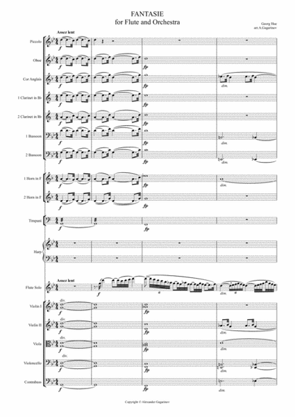 Fantasie for Flute & Symphony Orchestra (arr.) Full Score
