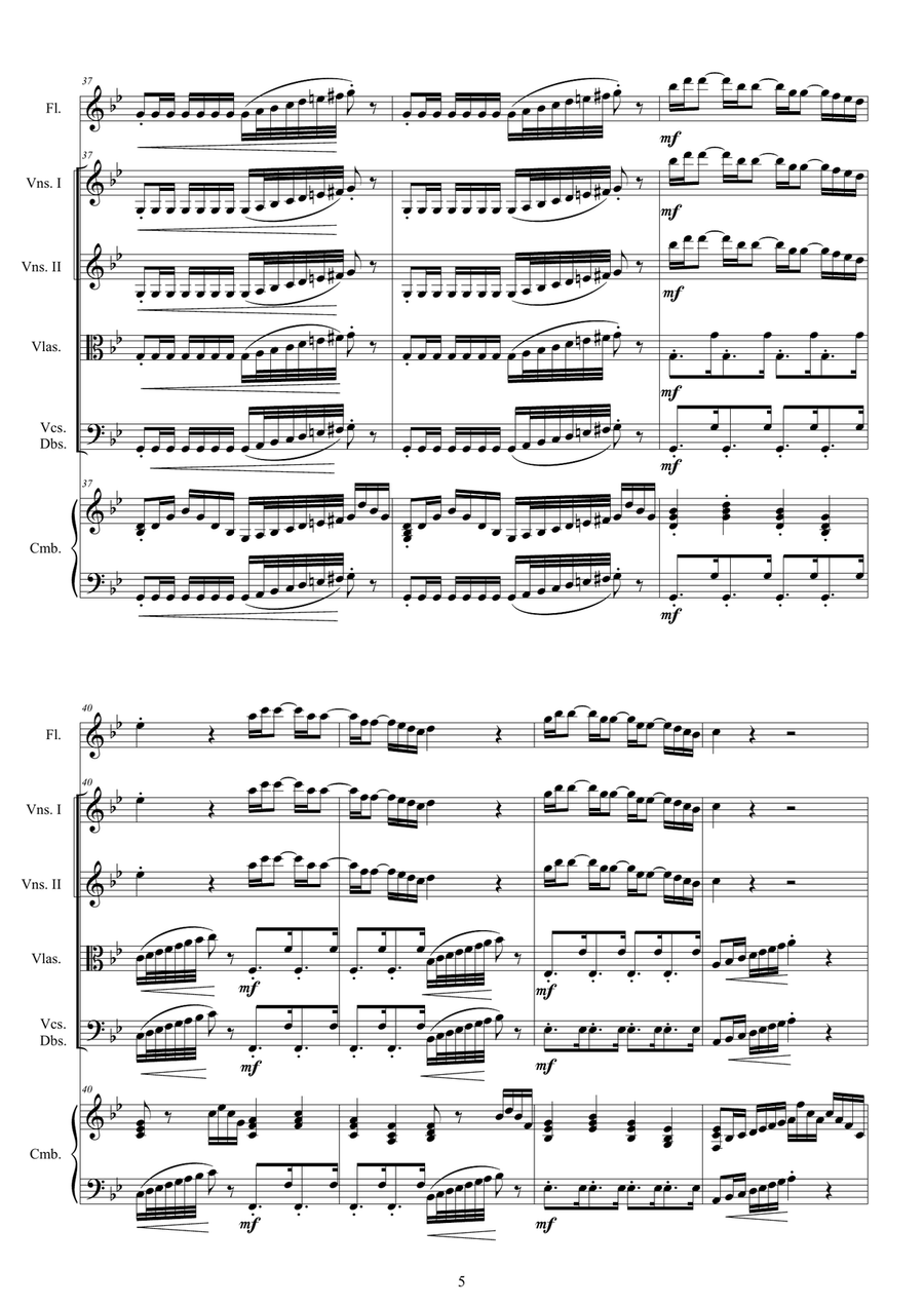 Vivaldi - Flute Concerto No.2 in G minor 'La Notte' Op.10 RV 439 for Flute, Strings and Cembalo Chamber Orchestra scores gallery preview page 5