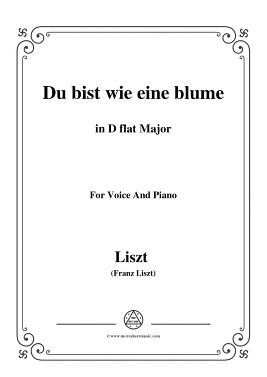Liszt-Du bist wie eine blume in D flat Major,for Voice and Piano image number null
