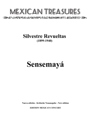 Book cover for Sensemaya