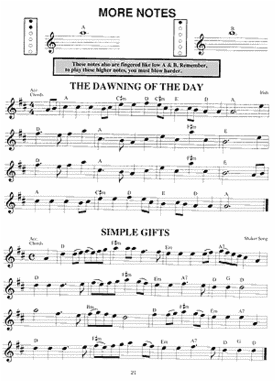 Fun with the Tin Whistle Celtic Fiddle scores gallery preview page 3