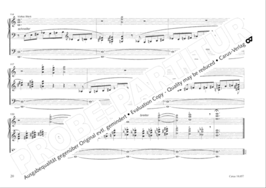 Toccata and Fugue Organ scores gallery preview page 21