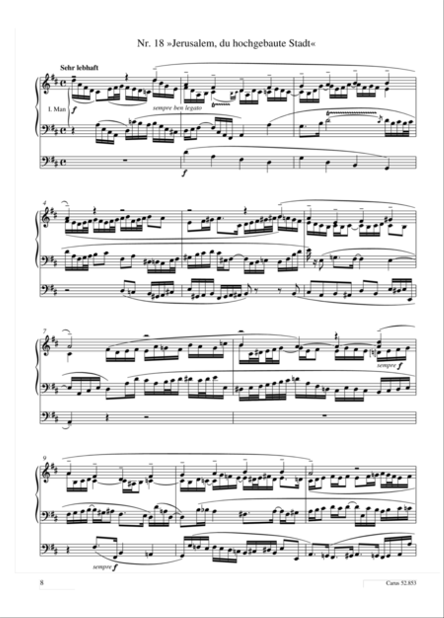 Reger: 52 easy preludes for the most common Lutheran chorales op. 67, Volume 2 Organ Solo scores gallery preview page 5