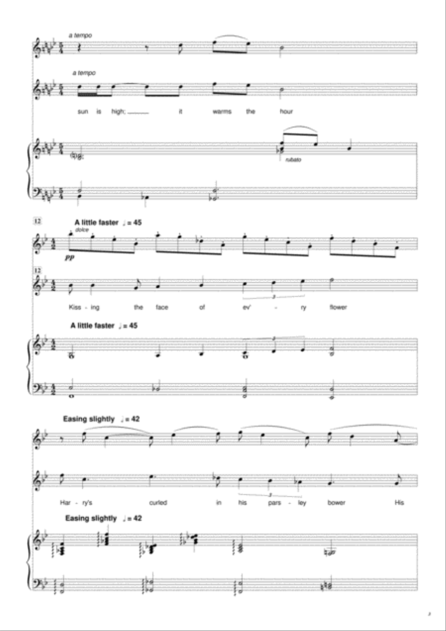 Harry in the Parsley Flute scores gallery preview page 3