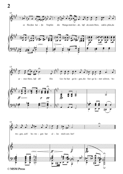 Schubert-Die Liebe hat gelogen,in a minor,Op.23,No.1,for Voice and Piano image number null