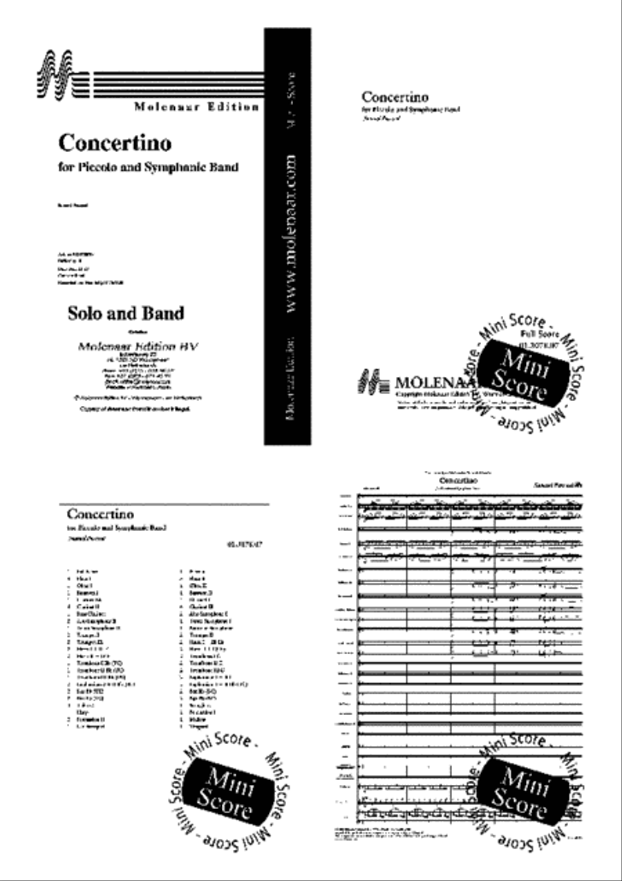 Concertino for Piccolo and Band Concert Band scores gallery preview page 2