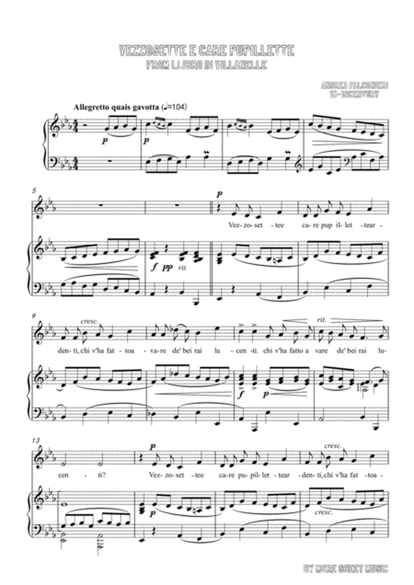 Falconieri-Vezzosette e care pupillette in E flat Major,for voice and piano image number null