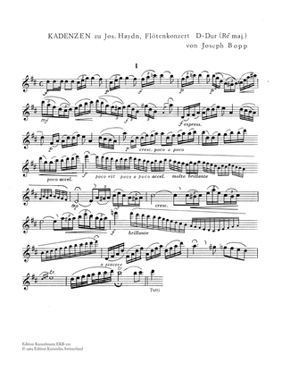Cadenzas to Haydn's Flute Concerto in D major