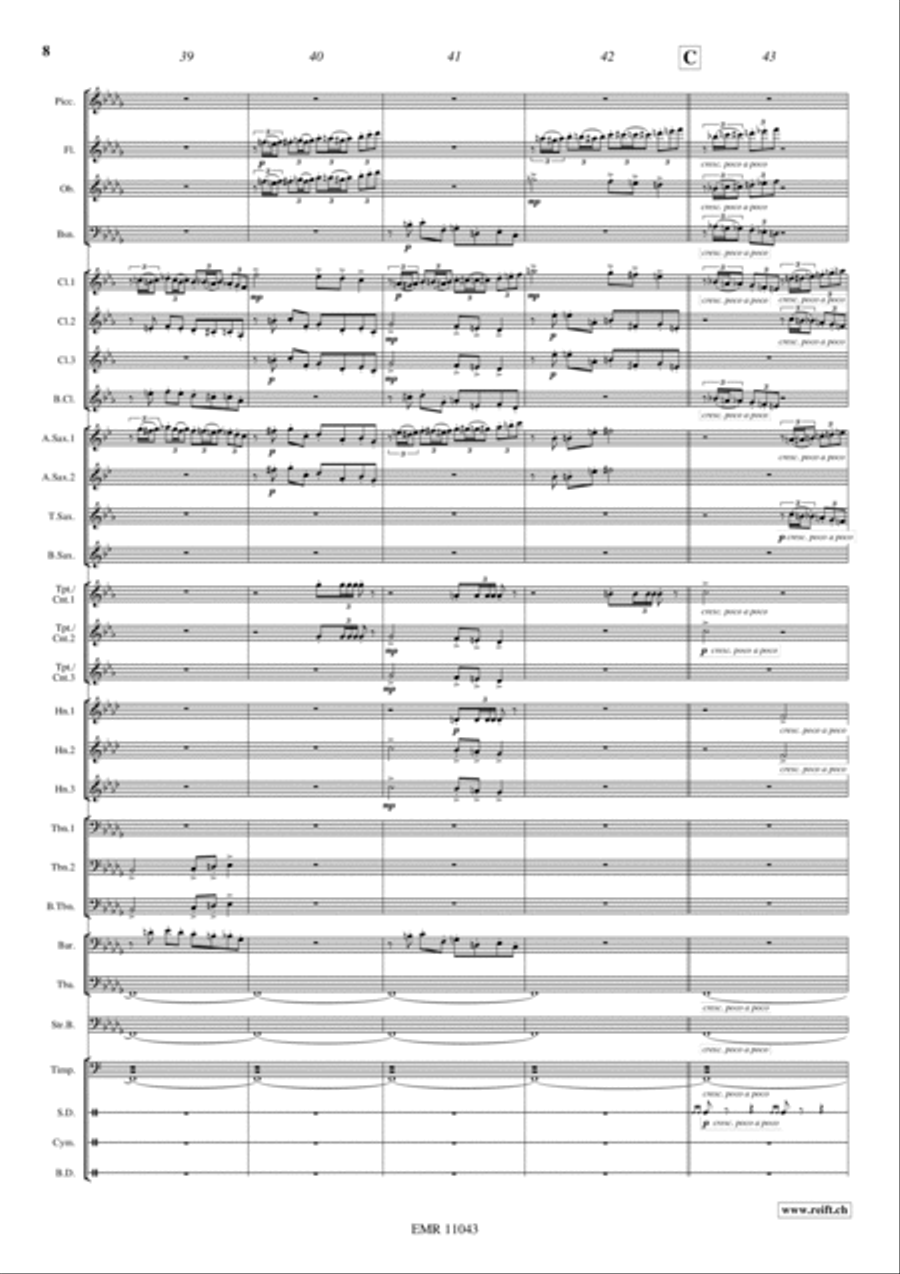 Marche Slave Concert Band scores gallery preview page 9