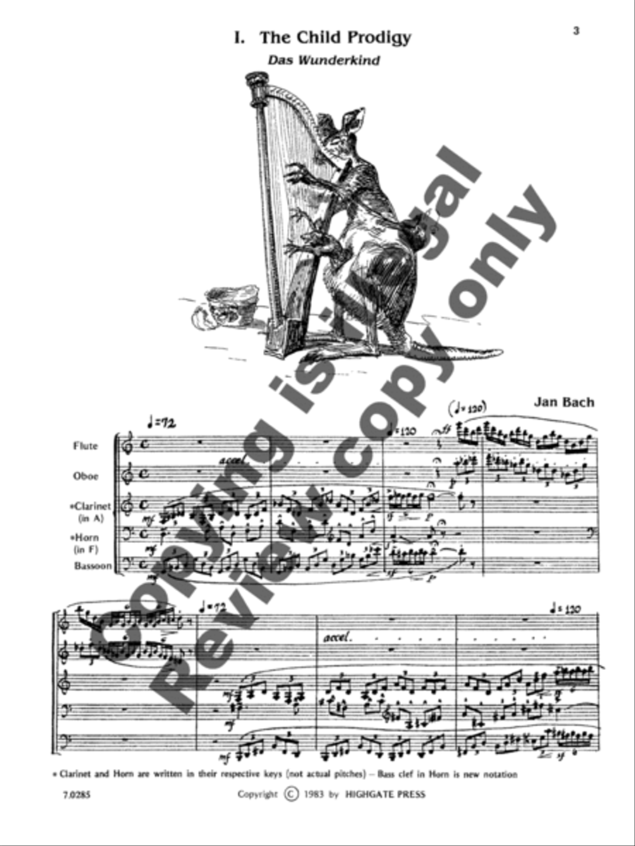 Skizzen (Score) Woodwind Quintet scores gallery preview page 12
