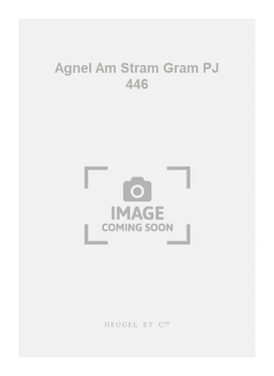 Book cover for Agnel Am Stram Gram PJ 446