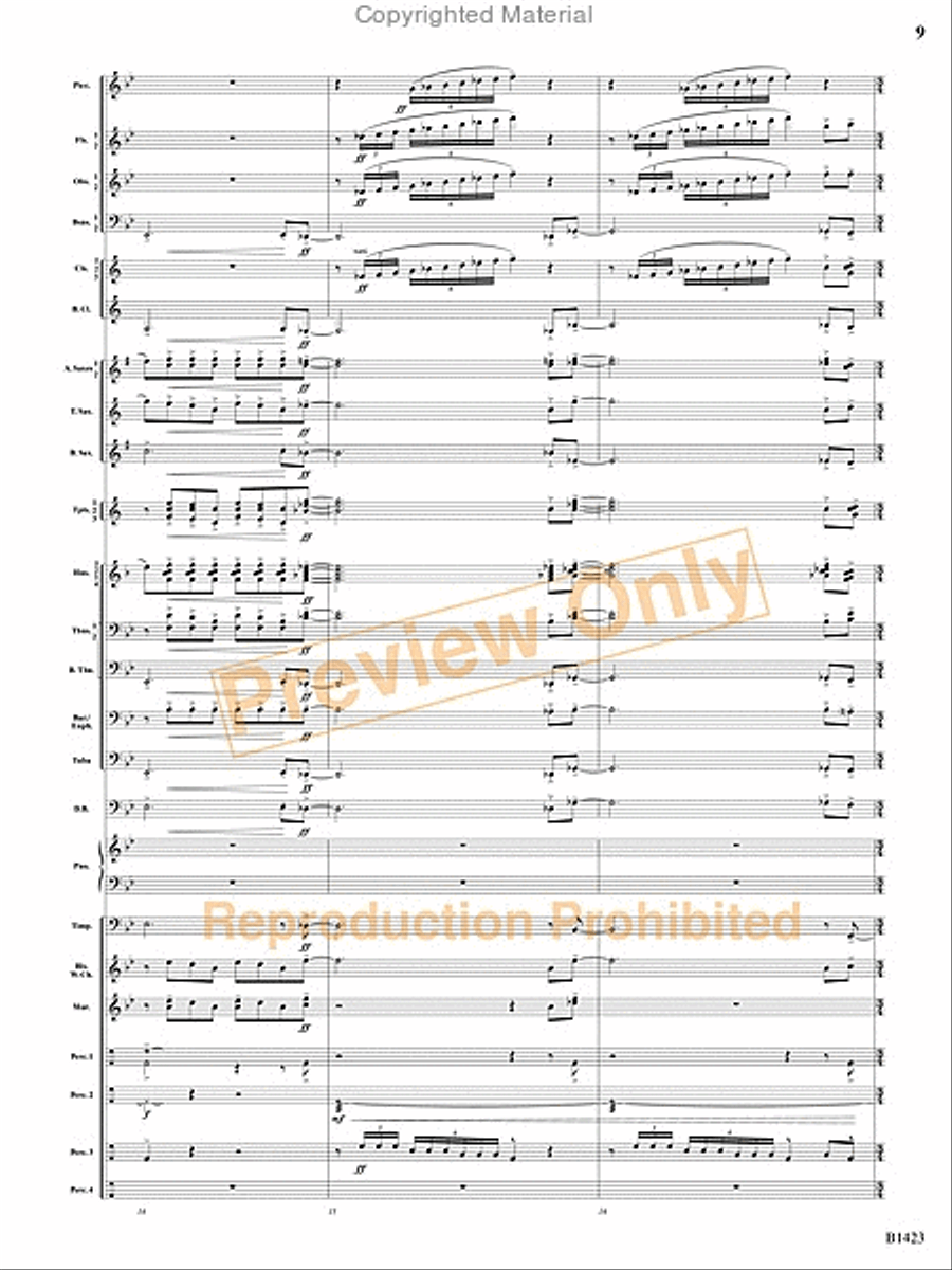 Dakota Fanfare Concert Band scores gallery preview page 8