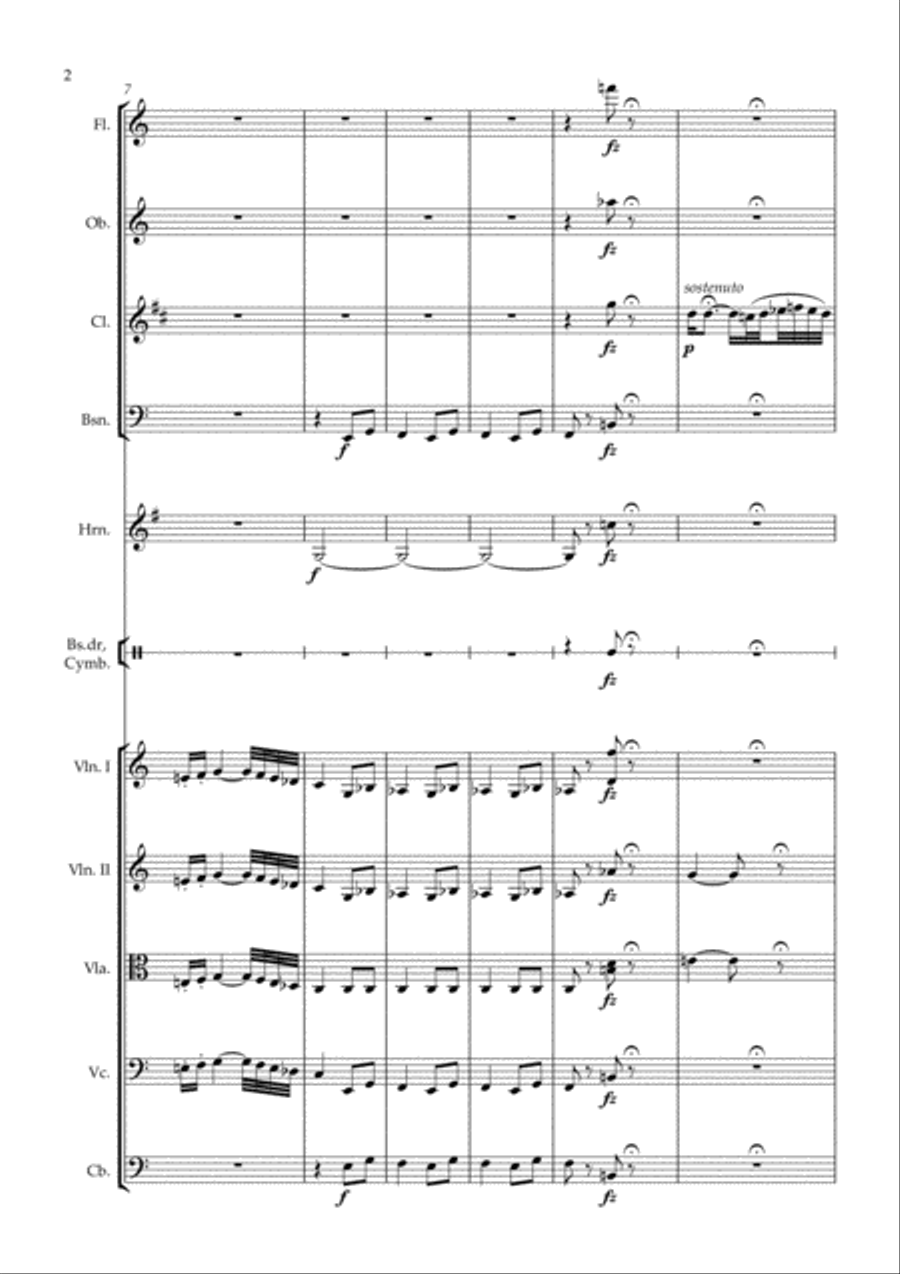 Der Zigeunerbaron Ouverture - arr. for chamber orchestra Chamber Orchestra scores gallery preview page 2