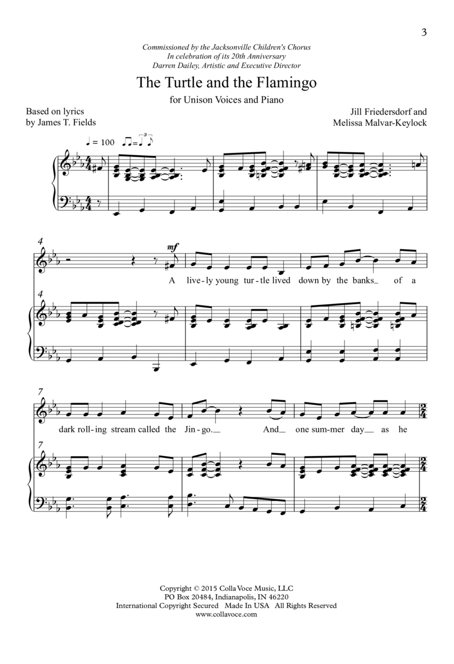 The Turtle and the Flamingo Unison Choir scores gallery preview page 1