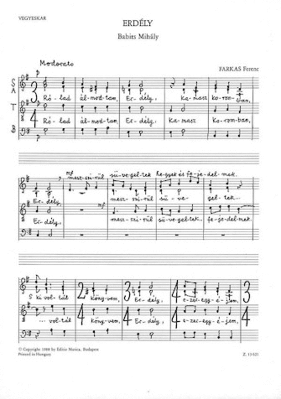 Erdly Erdly STB scores gallery preview page 1