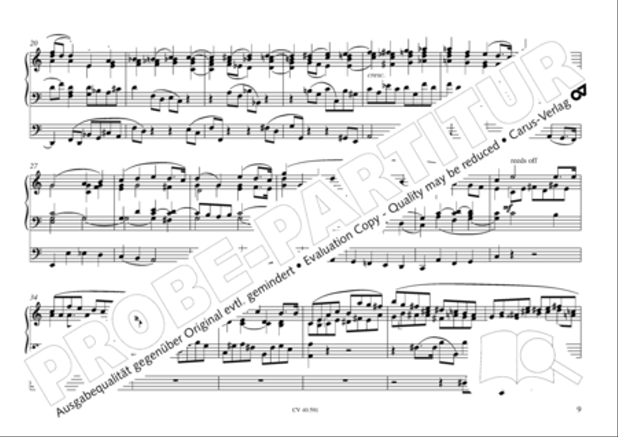 Free Organ Music from the Romantic Period, Vol. III (Freie Orgelmusik der Romantik, Band III) Organ scores gallery preview page 10