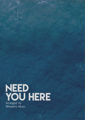Book cover for Need You Here