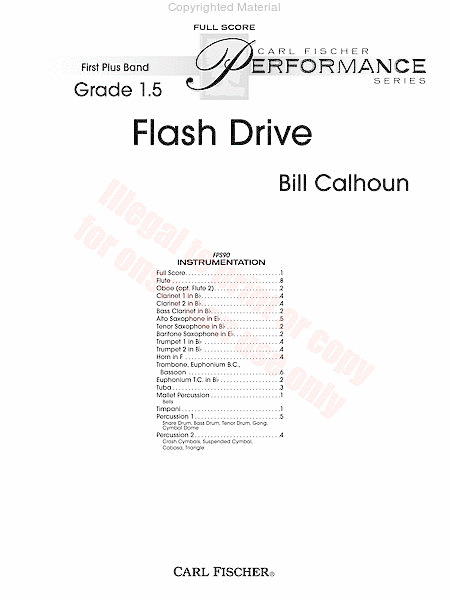 Flash Drive image number null